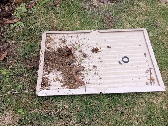 店長訪問◎即日対応可！法人実績多数の安心・安全蜂の巣駆除サービスサービスの画像