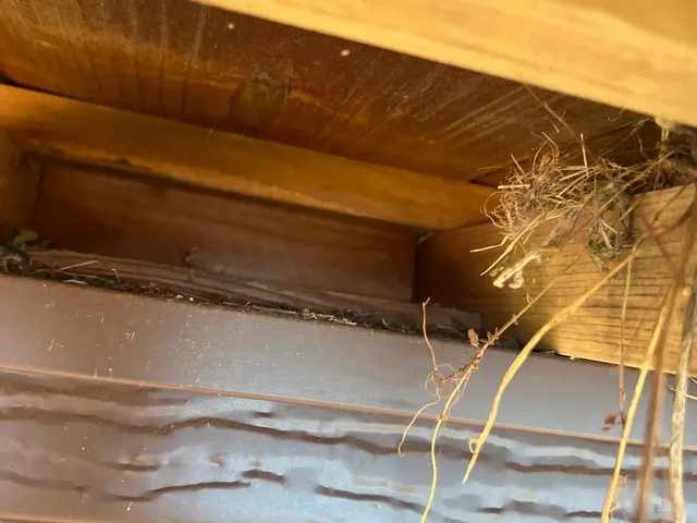 狩猟免許、防除作業監督者の有資格者の駆除専門家が対応します。ノミダニ対策も完備サービスの画像