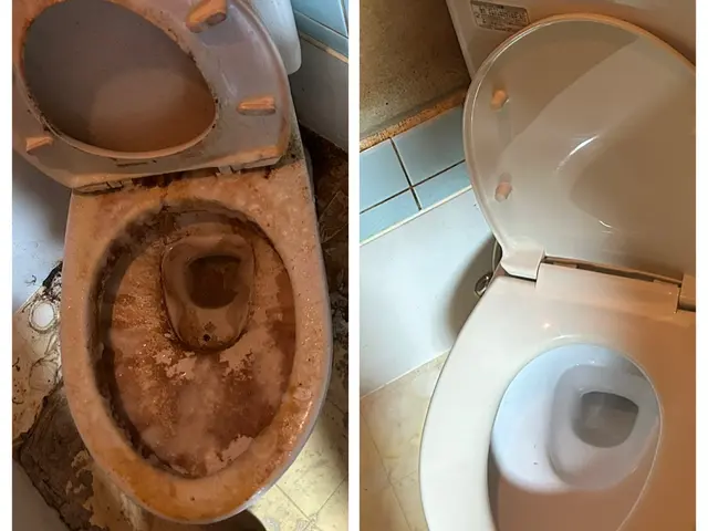 【トイレに女神様を！！】トイレには女神様がおるんやって！！綺麗にしましょう！！サービスの画像