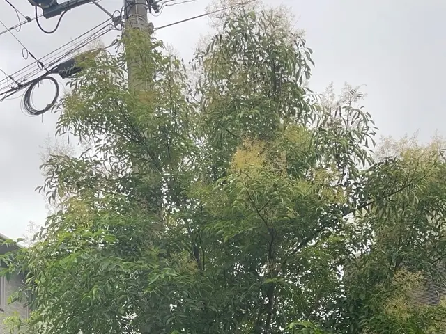 「にわっこ」サービスの画像