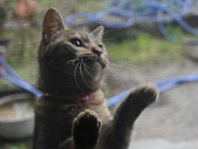 30年以上の経験より最適なご提案、取外から調整まで弊社におまかせください。サービスの画像