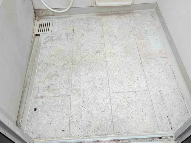 100件以上の実績！現地調査無料。シートは当店にて手配可能です。サービスの画像