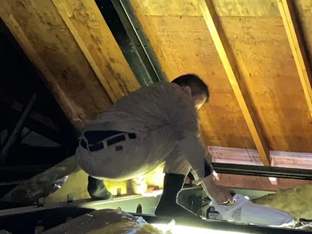 害獣駆除16年の実績！ハクビシン・アライグマ完全退治!!サービスの画像