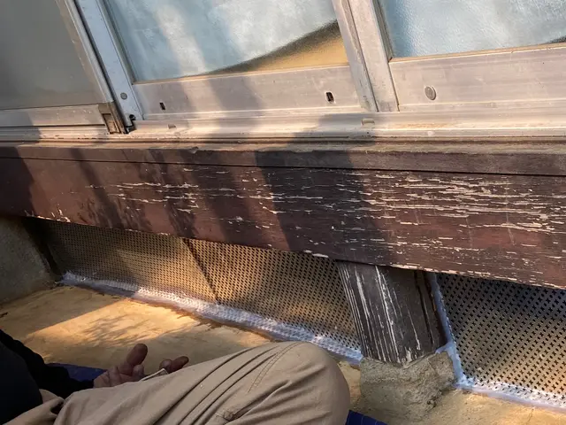 害獣駆除16年の実績！ハクビシン・アライグマ完全退治!!サービスの画像