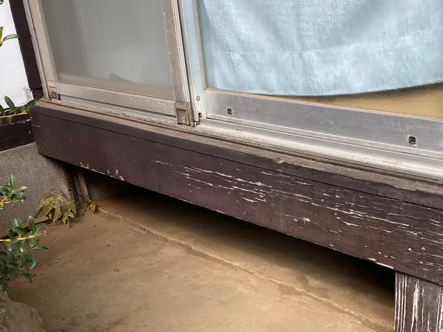 害獣駆除16年の実績！ハクビシン・アライグマ完全退治!!サービスの画像