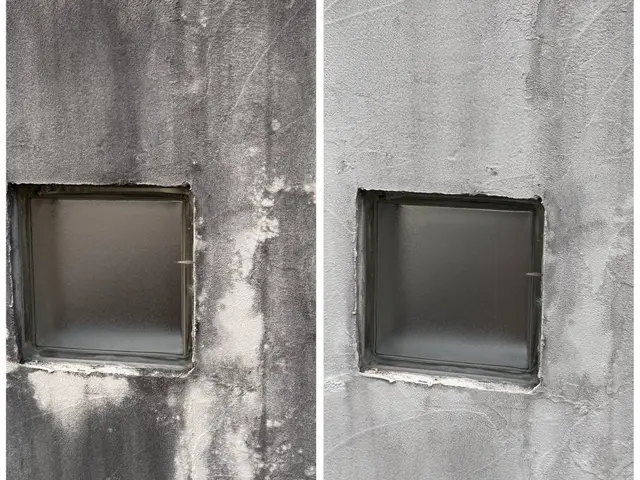 外壁の1面から可能！汚れ外壁コケ取りならスカッとスッキり三重にお任せください。サービスの画像