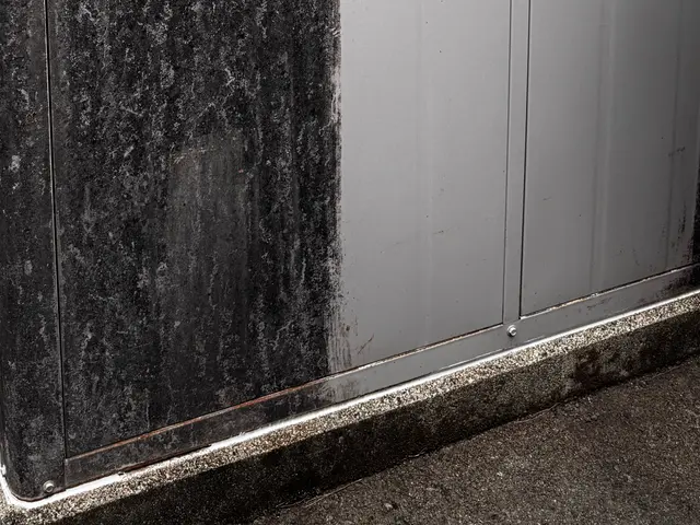 外壁の1面から可能！汚れ外壁コケ取りならスカッとスッキり三重にお任せください。サービスの画像