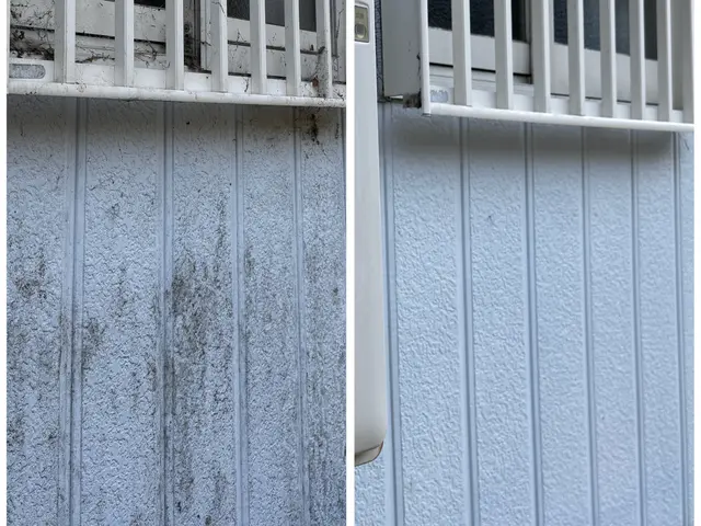 外壁の1面から可能！汚れ外壁コケ取りならスカッとスッキり三重にお任せください。サービスの画像