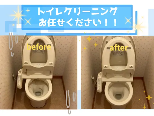 【トイレクリーニング】汚れ・水垢・ホコリ汚れ当店にお任せくださいサービスの画像