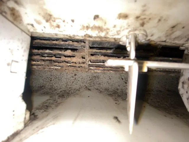 （エアコン早得祭）エアコン鹿児島県☆電気工事士○損害保険○カビ徹底洗浄サービスの画像