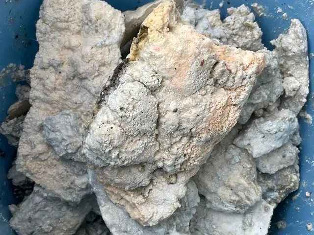 排水管洗浄と詰まり抜きのプロ　女性スタッフ同行可能！サービスの画像