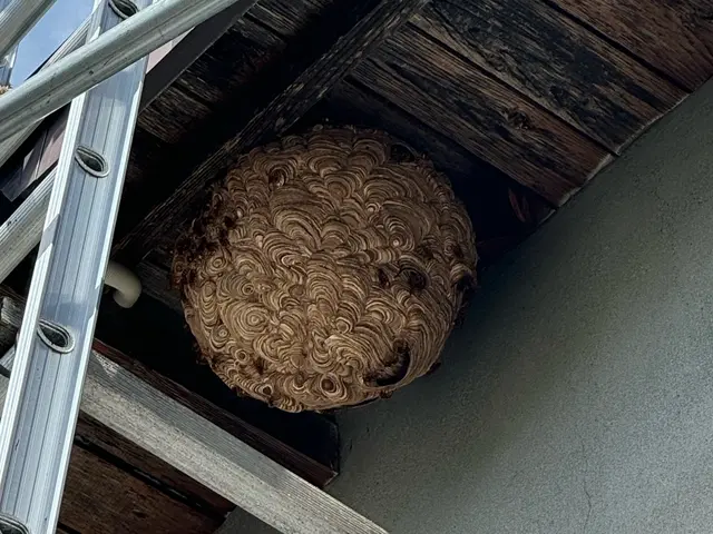 【1日15件以上対応するプロが訪問！】若さと圧倒的パワーで最高のサービスを◎サービスの画像