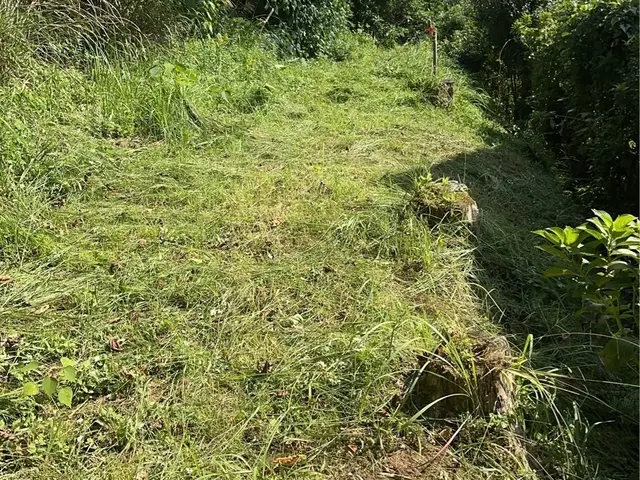 【丁寧・迅速】お庭の草刈り・芝刈り、ゴミ回収まで丸ごとお任せください！サービスの画像