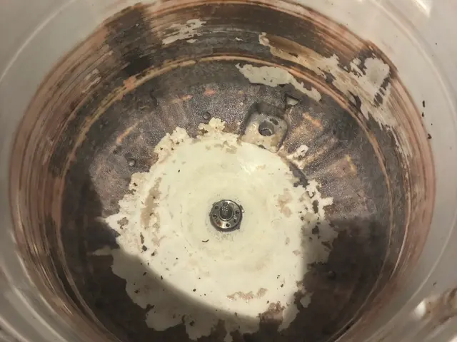 分解洗浄！カビ汚れを徹底的にお掃除致します！サービスの画像