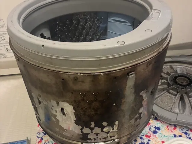 分解洗浄！カビ汚れを徹底的にお掃除致します！サービスの画像