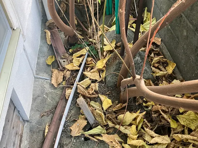 庭木や雑木をお片付けしましょうサービスの画像