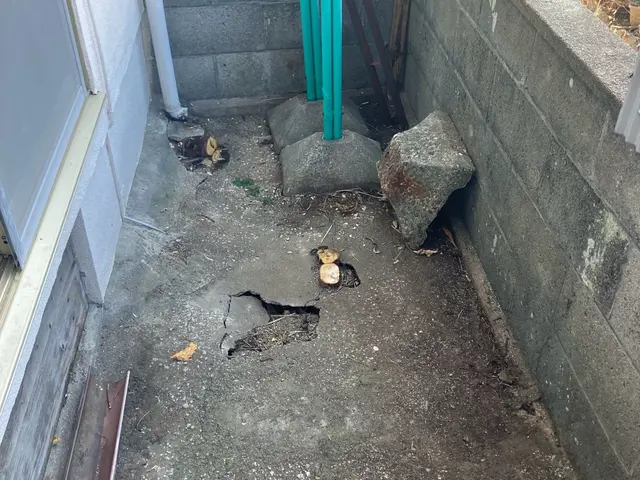 庭木や雑木をお片付けしましょうサービスの画像