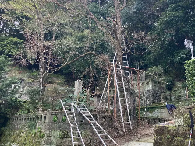 庭木や雑木をお片付けしましょうサービスの画像