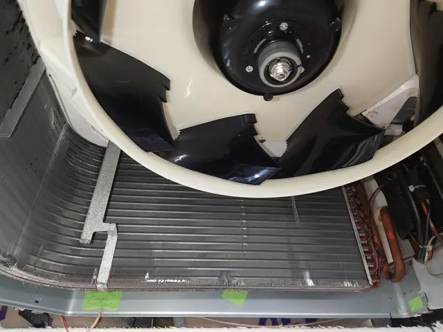 快適に過ごす為にしっかり洗います♪【ワクチン4回済】【損害保険加入の安心作業】サービスの画像