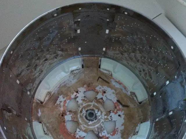 ★洗濯槽も分解★内部の汚れもピカピカに♪（乾燥機能なし）★防カビコートサービス中サービスの画像