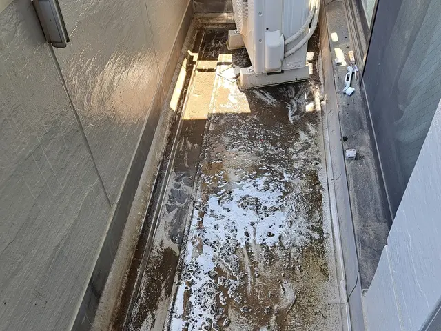 【窓ガラス外側込み】！高圧洗浄使用可！ハウスクリーニング士がお伺い◆新座市発サービスの画像