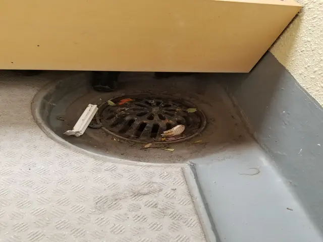 【窓ガラス外側込み】！高圧洗浄使用可！ハウスクリーニング士がお伺い◆新座市発サービスの画像