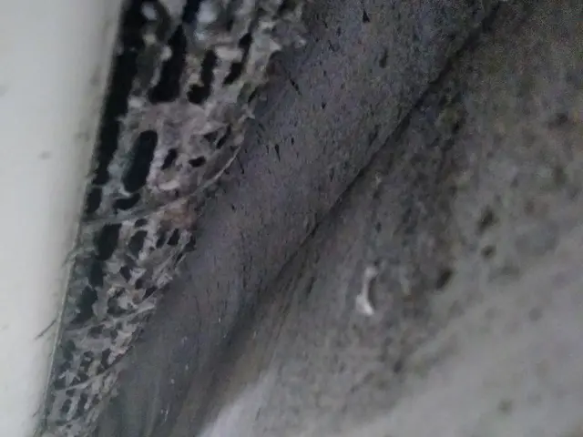 複数台割引!エアコンクリーニング(^o^)サービスの画像