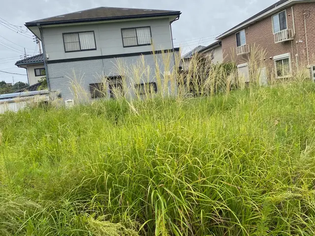 どんなに伸びた雑草でも綺麗に致します。暑い日でも喜んで対応させて頂きます！サービスの画像