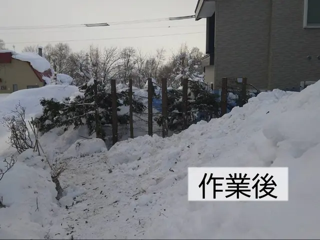 『思い入れのある庭木を剪定して木工品に』あなたの大切な庭木を形として残せます！サービスの画像