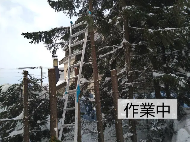 『思い入れのある庭木を剪定して木工品に』あなたの大切な庭木を形として残せます！サービスの画像