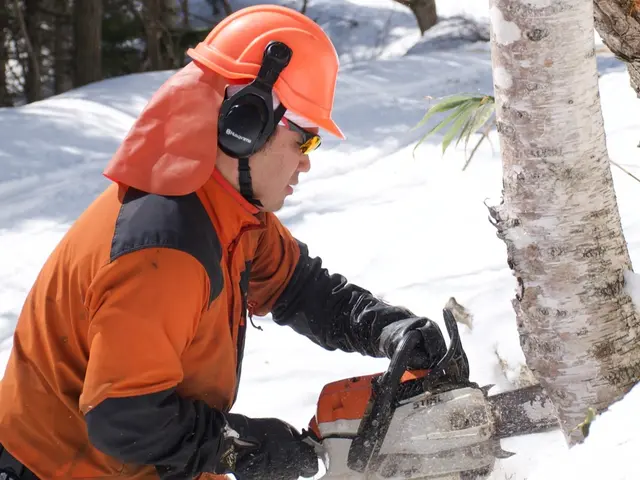 『思い入れのある庭木を剪定して木工品に』あなたの大切な庭木を形として残せます！サービスの画像