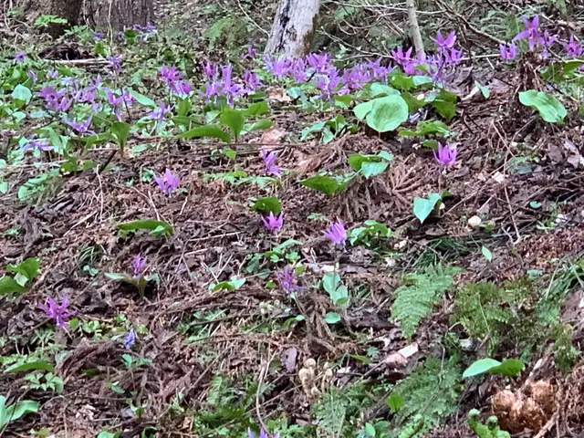 敏速対応！深夜早朝もOK！女性スタッフ在籍◆すべて自社対応  サービスの画像