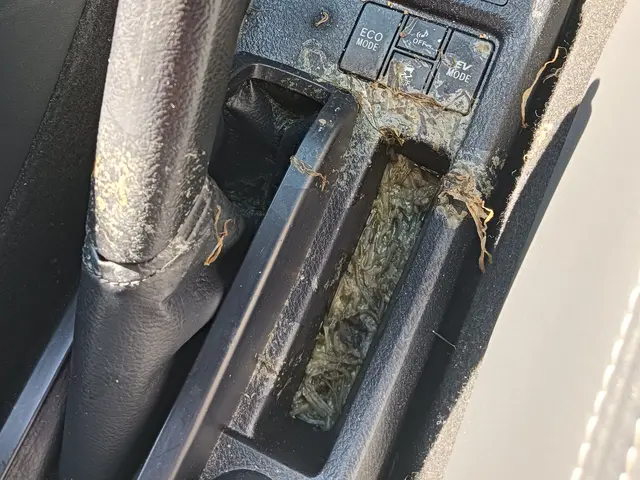 6000台以上の実績！評価Ｂの車内を評価Aに蘇らせてみせます！！サービスの画像