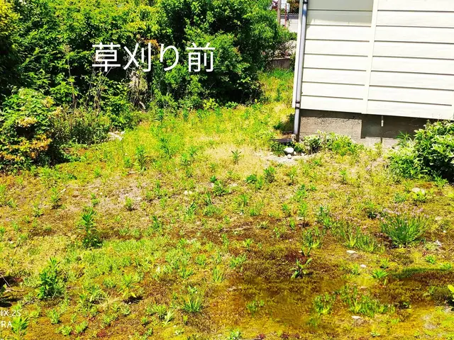 草刈り(草刈り機)、芝刈りサービスの画像
