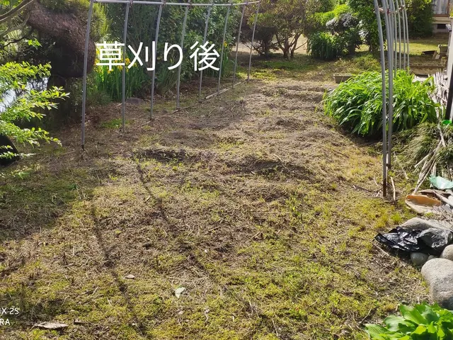 草刈り(草刈り機)、芝刈りサービスの画像