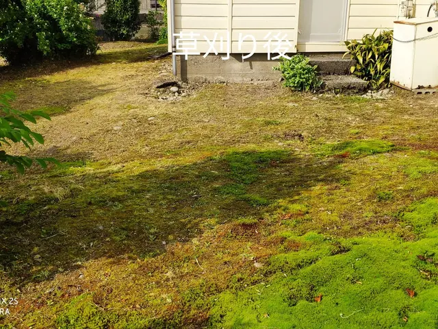 草刈り(草刈り機)、芝刈りサービスの画像