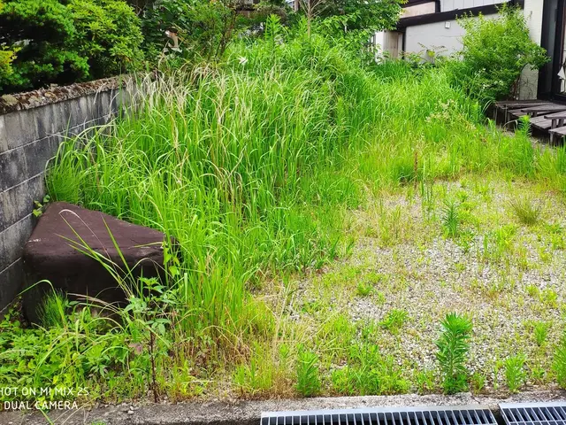 草刈り(草刈り機)、芝刈りサービスの画像