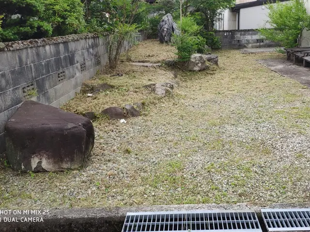 草刈り(草刈り機)、芝刈りサービスの画像