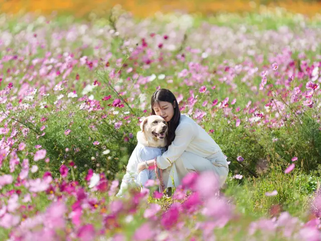 【新規出店キャンペーン価格！】実績豊富な写真家が軽井沢・蓼科エリアで愛犬撮影