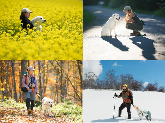【新規出店キャンペーン価格！】実績豊富な写真家が軽井沢・蓼科エリアで愛犬撮影