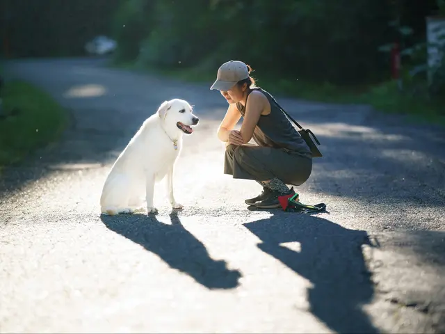 【軽井沢・蓼科エリアに強い愛犬撮影】実績豊富な写真家がワンプライスで！
