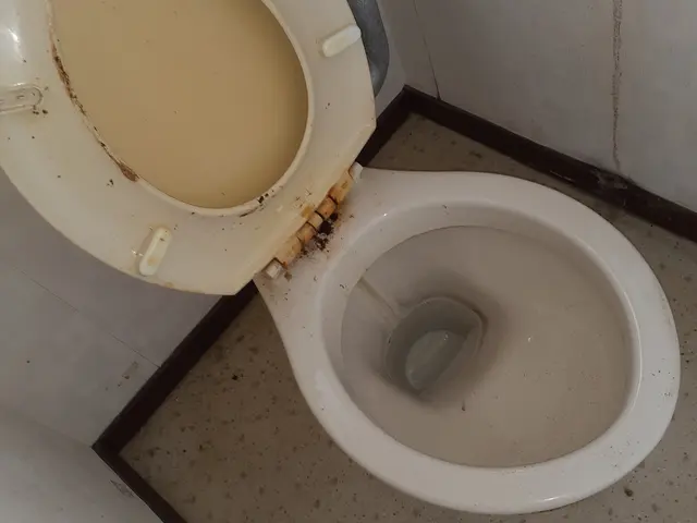 【五泉市】損害保険加入済み◎作業にご不満の場合は無料で追加対応も行います！サービスの画像