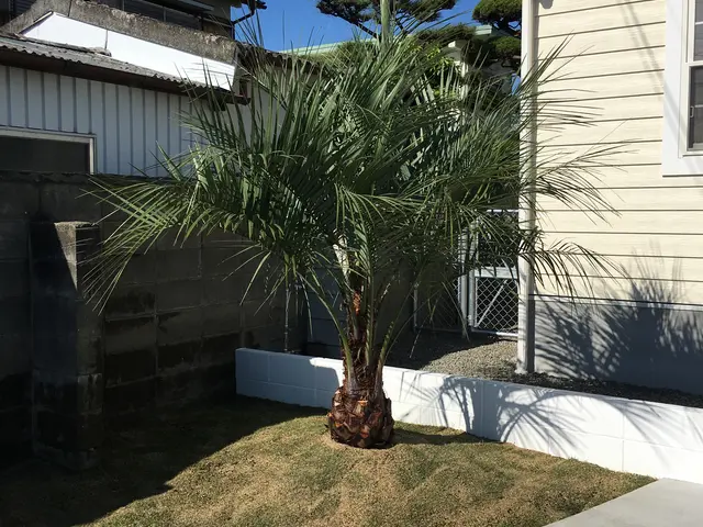 ＜損害保険加入済み♪P代店負担☆＞地域密着をモットーにお庭のお手伝いします！サービスの画像