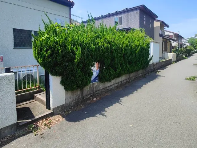 ☆夏にスッキリ！便利屋さんの剪定☆伸び放題の植木や生垣を丁寧に剪定します☆サービスの画像