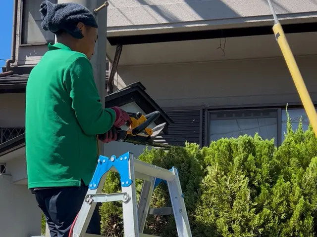 ☆夏にスッキリ！便利屋さんの剪定☆伸び放題の植木や生垣を丁寧に剪定します☆サービスの画像