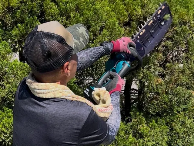 ☆夏にスッキリ！便利屋さんの剪定☆伸び放題の植木や生垣を丁寧に剪定します☆サービスの画像
