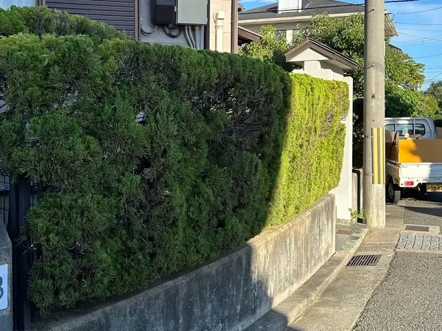 ☆夏にスッキリ！便利屋さんの剪定☆伸び放題の植木や生垣を丁寧に剪定します☆サービスの画像
