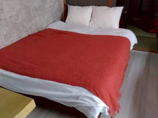 大阪で12店舗特区民泊運営/Airbnbのスーパーホスト認定☆日本スタッフのみサービスの画像