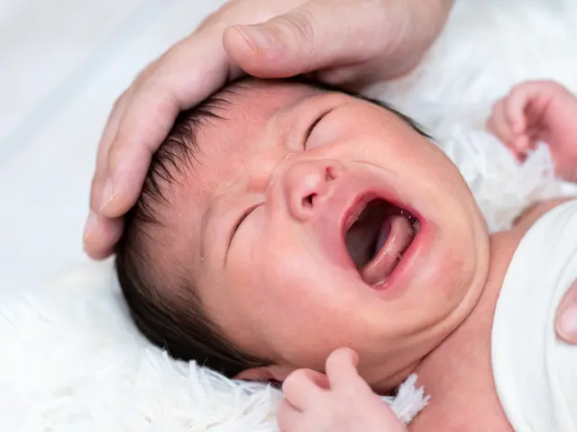 ニューボーンフォト出張撮影