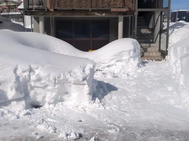 屋根の雪下ろし、雪かきいたしますサービスの画像